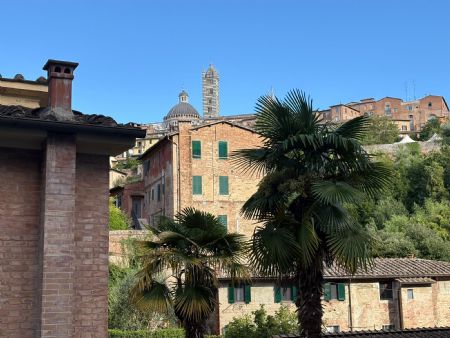 Vendita Appartamento SIENA: ZONA FONTEBRANDA. Vendesi, in una delle aree più caratteristiche e comode della città, fuori...