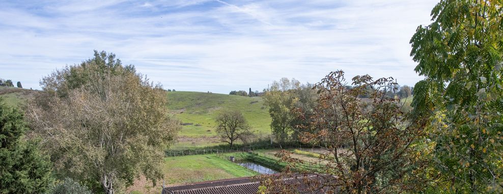 Vendita Casale/Rustico SAN ROCCO A PILLI (SOVICILLE - SI). Vendesi, a circa 1 km dalla frazione di San Rocco a Pilli e a...