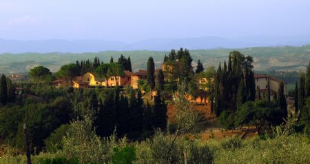 Vendita Azienda agricola A SOLI 3 KM DA SAN GIMIGNANO (SI). Vendesi,  bellissima proprietà situata a soli 3 km dalla...